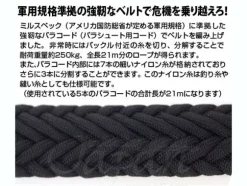 EFSF Survival Belt