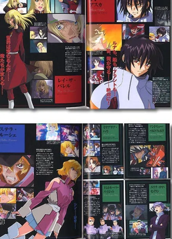 Gundam Seed Destiny: Destiny Edition