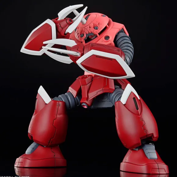 1/144 HG Z'Gok (Mobile Suit Gundam SEED FREEDOM Ver.)