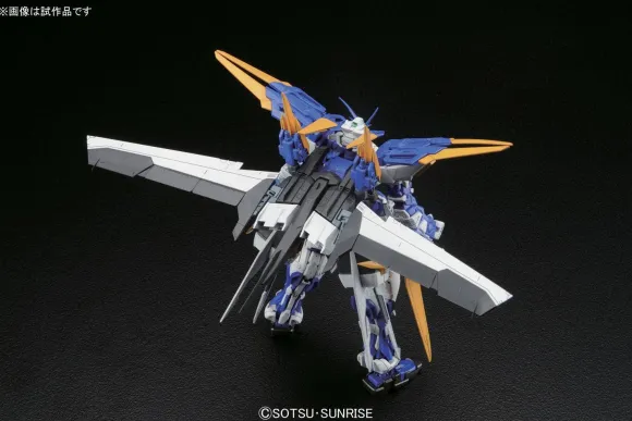 1/100 MG Gundam Astray Blue Frame D