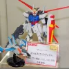 MSIA Aile Strike Gundam