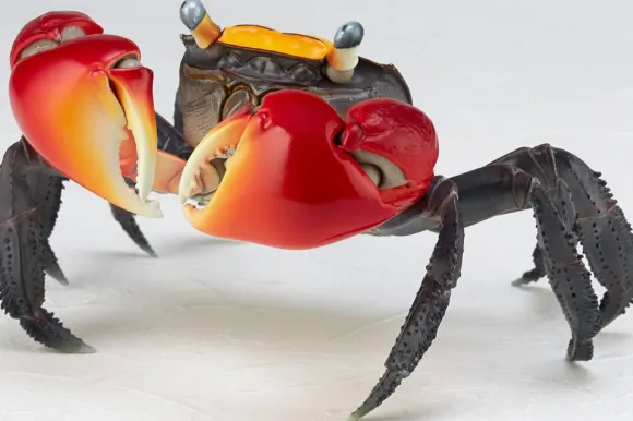 Revo Geo Chiromantes Haematocheir (Red-Clawed Crab)