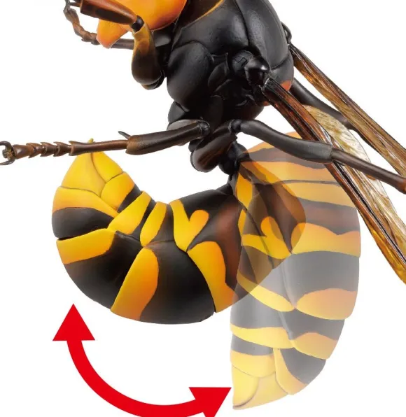 Revogeo Vespa Mandarinia (Asian Giant Hornet / "Murder Hornet") (Reissue)