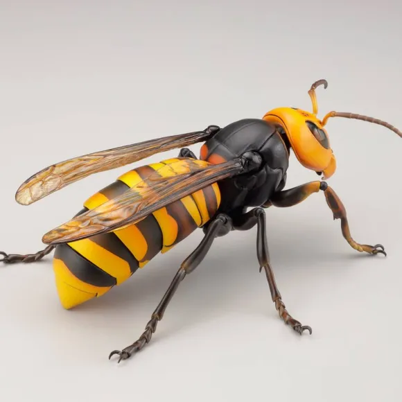 Revogeo Vespa Mandarinia (Asian Giant Hornet / "Murder Hornet") (Reissue)