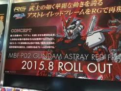 1/144 RG Gundam Astray Red Frame